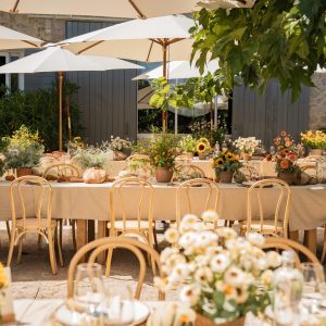 Chaises Cézanne (lot x 10)